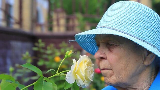 An elderly woman, a grandmother in a blue hat, sniff a flower, a rose