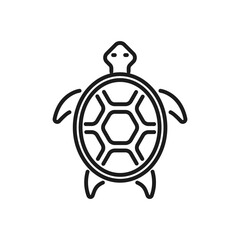 Obraz premium turtle icon vector in line style