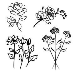 Hand Drawn Flowers Doodle Of Rose, Cherry Blossom, Coneflower and Jasmine
