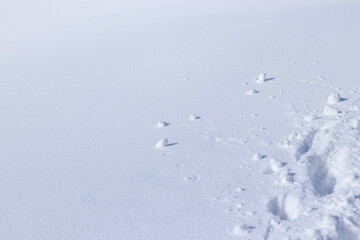 snow with piece of the footprint