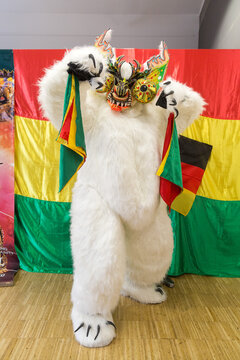 colourful bear costume from the Bolivian carnival dance "la diablada" with Bolivian flag behind it 