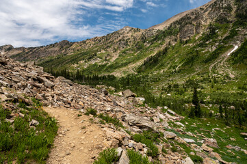 Trail Winds Around Corner in Lush Canyon in Grand Tetons