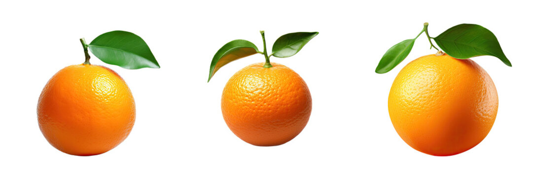 Tangerine alone