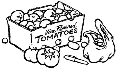 Box and bag of tomatoes