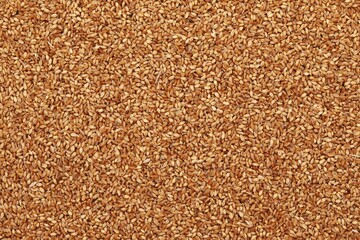 Wheat, wheat background, top view, background image, wheat, wheat background, top view, bread, harvest, background image