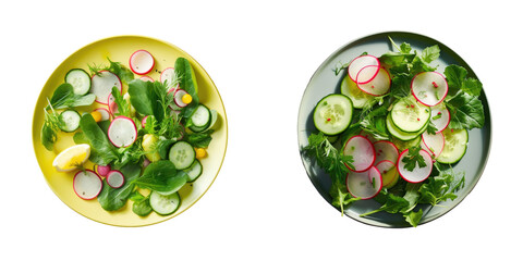 Colorful healthy summer meal showcasing fresh vegetables like radish lettuce and cucumber on a black plate Professionally styled with a lemon slice on top