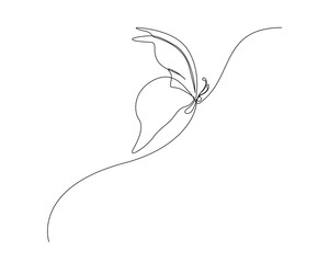 Continuous one line drawing of flying butterfly. Butterfly outline vector illustration.  