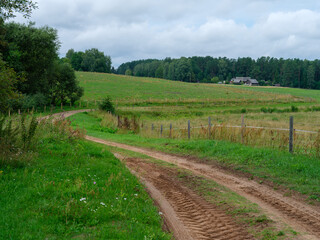 Fototapeta na wymiar gravel country road in green summer fields