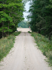 gravel country road in green summer fields
