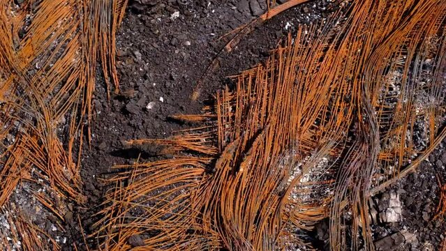 Metal carcass of the burnt automobile rubber tire
