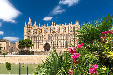 La Seu Cathedral and Parc de la Mar of Palma de Mallorca - 8679
