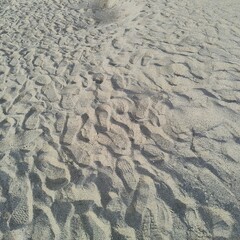 texture of sand