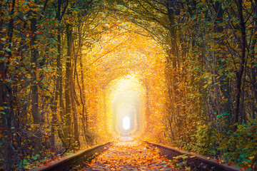 Fall season landscape - Fantastic Autumn Trees Tunnel with old railway - Tunnel of Love. Natural tunnel of love formed by trees.