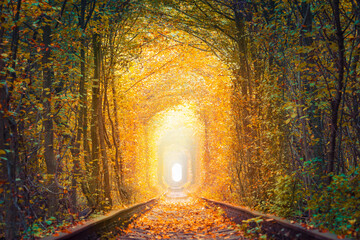 Fall season landscape - Fantastic Autumn Trees Tunnel with old railway - Tunnel of Love. Natural...
