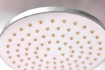 Dirty calcified circle shower head and arm, chrome mixer tap, faucet with rust and limescale, plaque from hard water, close up, Bottom view. Cleaning company concept.