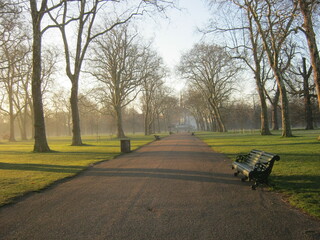 alley with benches in the morning park