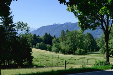 Bergblick oberhalb des Staffelsees