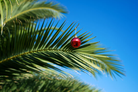 New Year ornaments on palm tree. Tropical festivity concept