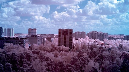 Fototapete bei efototapeten.de bestellen   