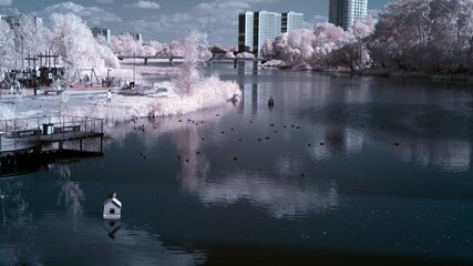 Fototapete bei efototapeten.de bestellen   