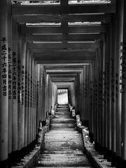 Gordijnen Monochrome shot of torii gates © Armend