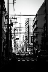 Monochrome shot of a street in Asakusa, with a view of Tokyo Skytree