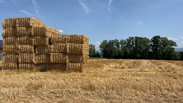 stack of hay bales on harvested field