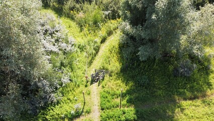 Nature area in the Netherlands. A Dutch green protected piece of land for recreation and walking. Trees, plants, grass, water and paths for relaxation.