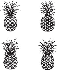 minimal vector pineapple fruit vector elements pack in black outlines