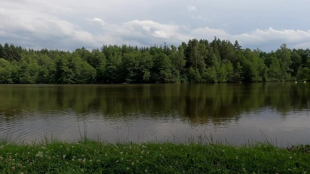 Landscape of grass meadow by reflecting pond with trees under blue coudy sky