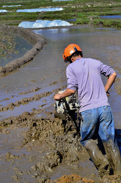 Cultivateur travaillant la terre dans les rizi&egrave;res du Vietnam.
