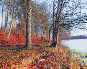 Fototapety na wymiar - Fototapeta24.pl