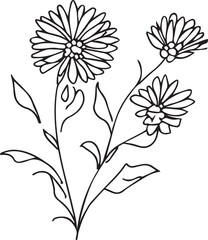 Simple aster flower tattoo drawing, aster line drawing, September birth flower aster drawing, aster flowers wall decor, sketch aster flower drawing, simple aster outline