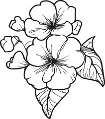 primula flowers illustration coloring page, simplicity, Embellishment, monochrome, vector art, Outline print with blossoms primrose flower, leaves, and buds Primula Francisca flowers tattoos