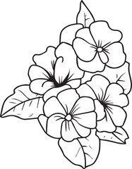 Delicate primrose tattoo. Primrose vector illustration, beautiful Preciosa flower bouquet, hand-drawn coloring pages, and book of artistic, blossom flowers primrose, isolated on a white background