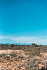 Scenic landscape featuring a dry valley and mountains under a blue sky in the Karoo, South Africa