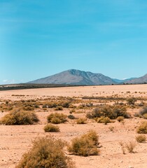 Scenic landscape featuring a dry valley and mountains under a blue sky in the Karoo, South Africa