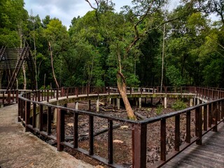 Obraz premium Wooden boardwalk leading to a secluded outdoor area in a mangrove forest in Klang Selangor, Malaysia