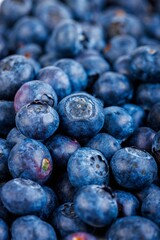 Closeup of the fresh and vibrant blueberries in a pile