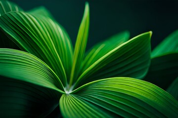 green leaf background