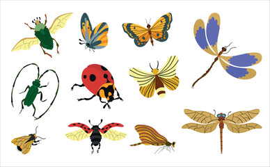 Obraz premium Vector illustration of various insects