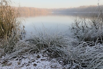 Scenic winter landscape featuring a tranquil lake surrounded by lush vegetation.