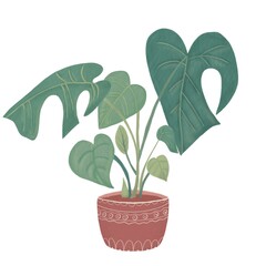 Illustration of a vase with a monstera