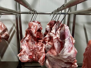 hanging pork meat in the chilled temperature room