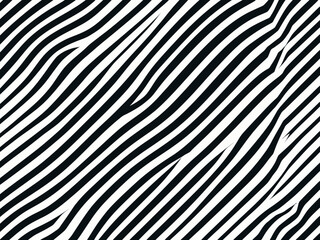 black and white stripes