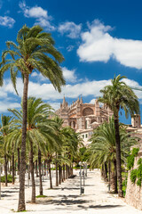 Fototapeta na wymiar Parc de la Mar with La Seu Cathedral - Palma de Mallorca - 8739