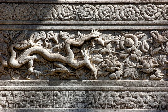 Mystical and majestic dragon depicted on a stone wall backdrop, with vibrant floral design