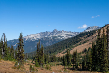 Stunning mountain and alpine vistas on Whistler and Blackcomb mountains. Part of Garibaldi Provincial Park in British Columbia Canada