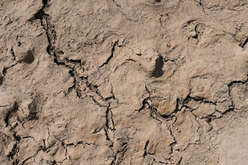 Parched, cracked riverbed during drought in Portugal. Top down view.