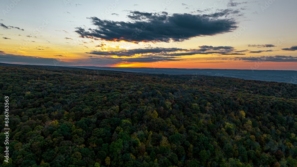 Wall mural High-angle view of a beautiful dark colorful dense forest against a cloudy sky during sunset